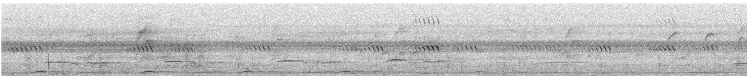 holub černošíjný - ML199793201