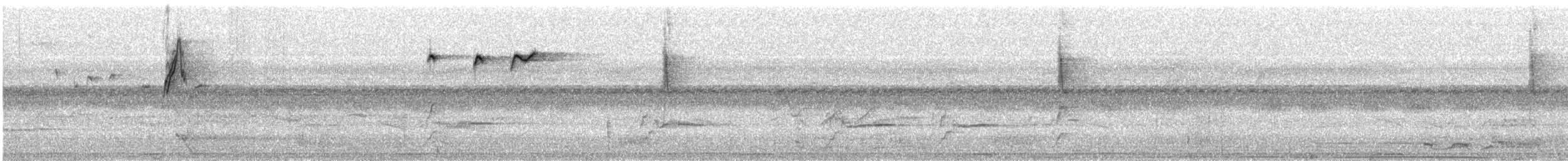 Sperlingsvogel, unbestimmt - ML199793261