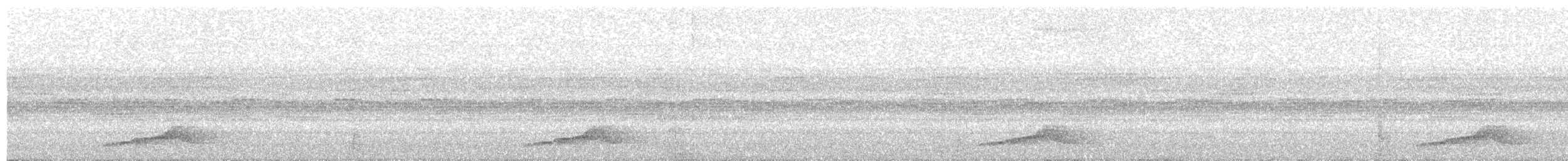 Pauraquenachtschwalbe - ML199800241