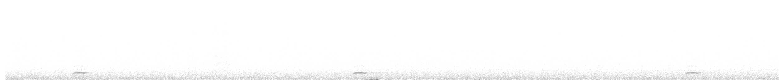 Chevêchette naine - ML199817081