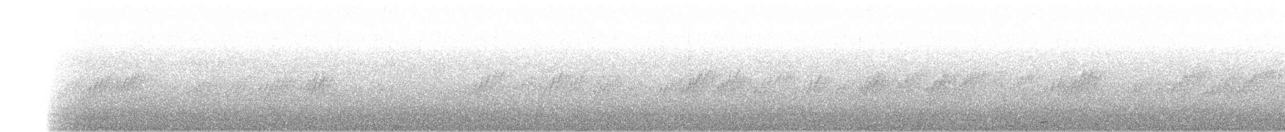 Black-capped Swallow - ML199826831