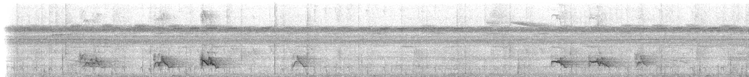Касик багряногузий (підвид microrhynchus) - ML199969911