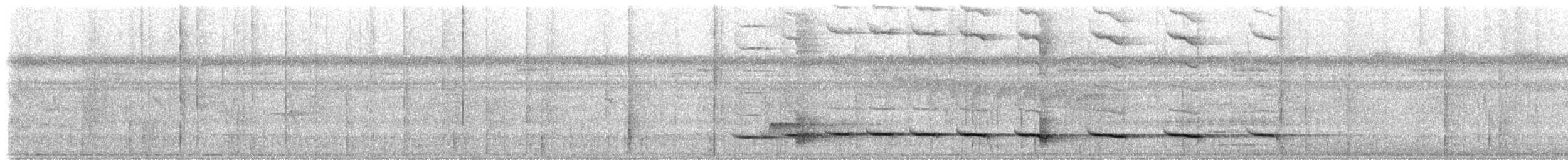 Мурашниця панамська (підвид perspicillatus) - ML199970531
