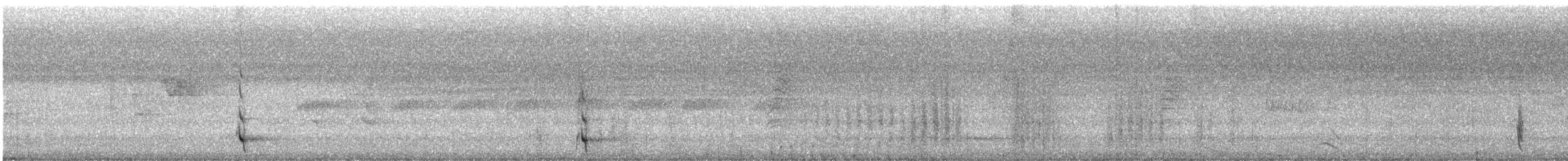 White-tailed Trogon - ML200022601