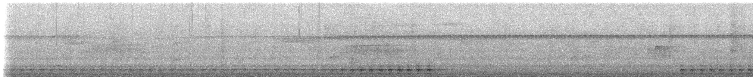 Slaty-tailed Trogon (Massena) - ML200054121