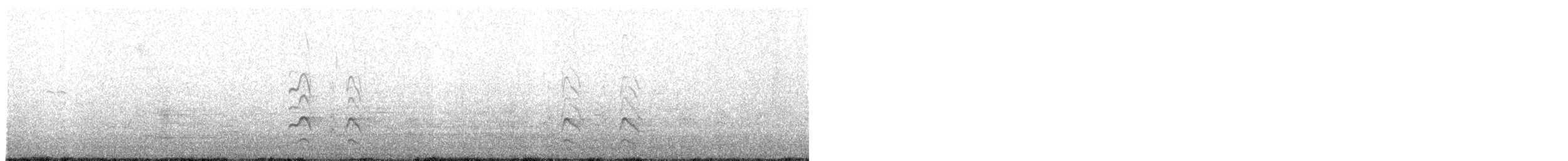 Bar-tailed Godwit - ML200082161