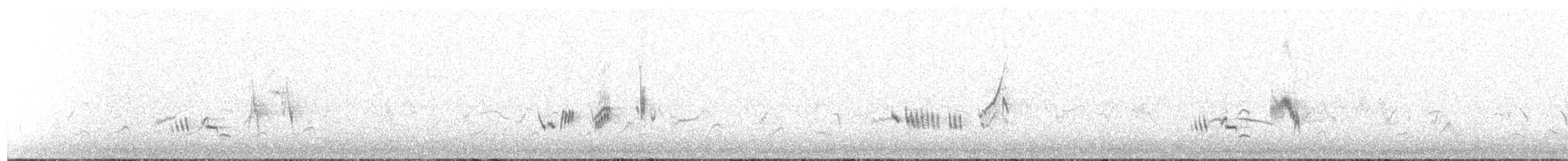 hekkskvett (galactotes gr.) - ML200092141