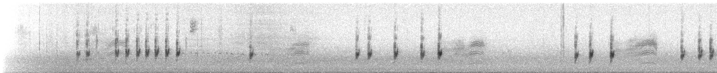 Troglodyte de Bewick - ML200104591