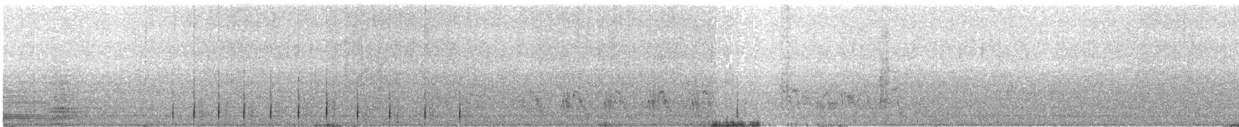 黑背信天翁 - ML200142631