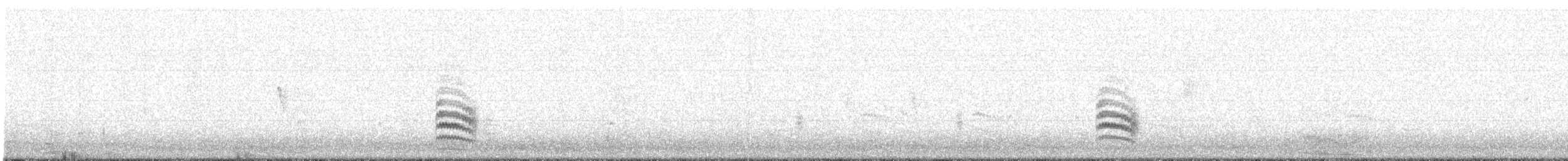 Weißbrustkleiber - ML200189871