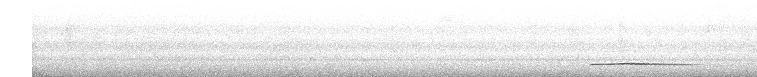 Little Tinamou - ML200211641