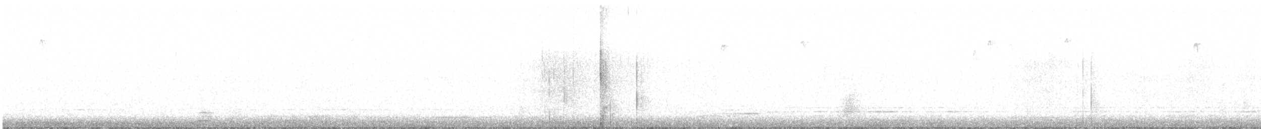 Grimpereau des bois - ML200241541