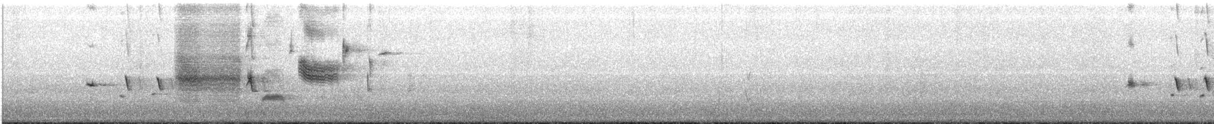 גיבתונית רוננת - ML200276621