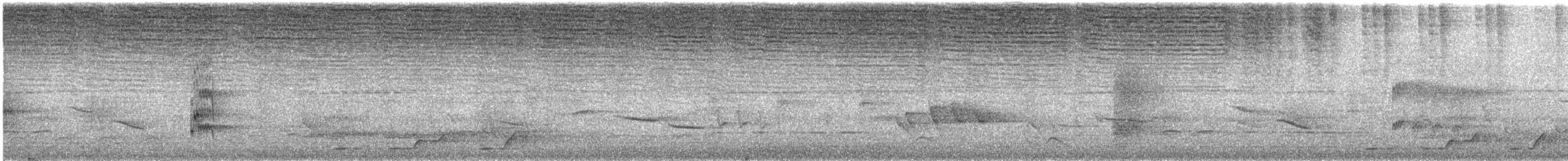 Barbican oreillard (leucotis/kilimensis) - ML200326571