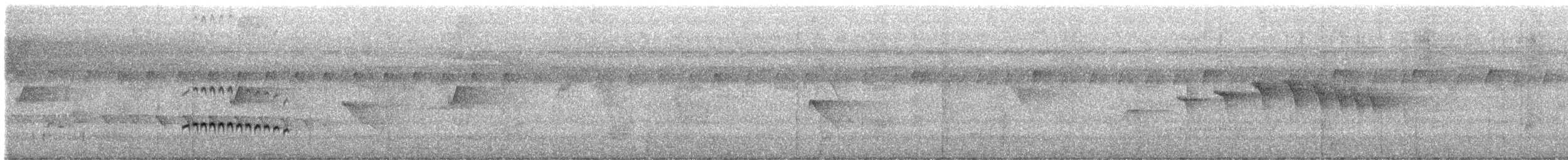 Tüpfelkronen-Ameisenvogel - ML200344771