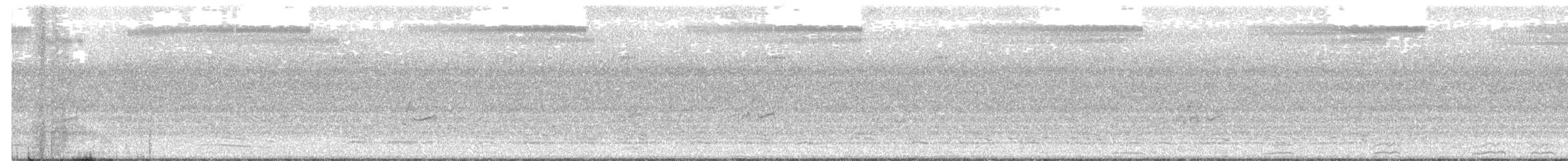Spotless Crake - ML200421221