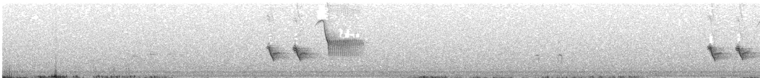 Fleckengrundammer - ML200435701