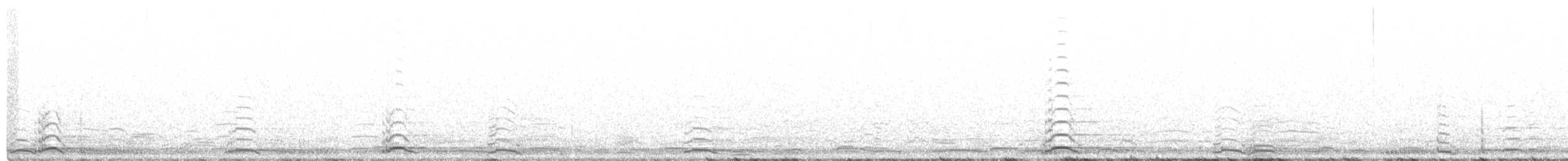 Лебідь чорнодзьобий (підвид columbianus) - ML200449681