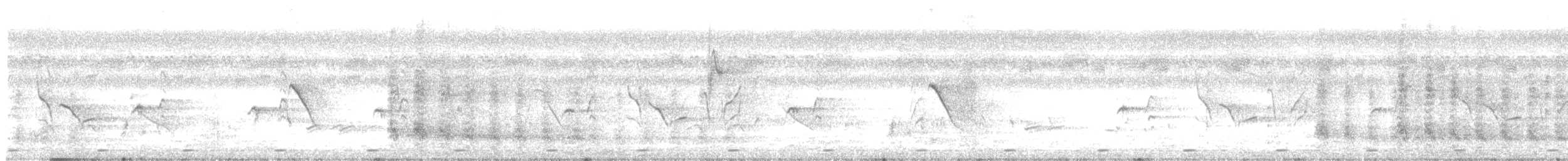 Аистоклювый гуриал - ML200461561
