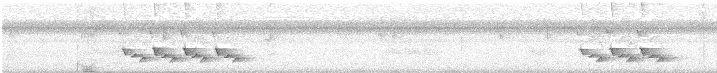 Каролинский крапивник - ML200490911