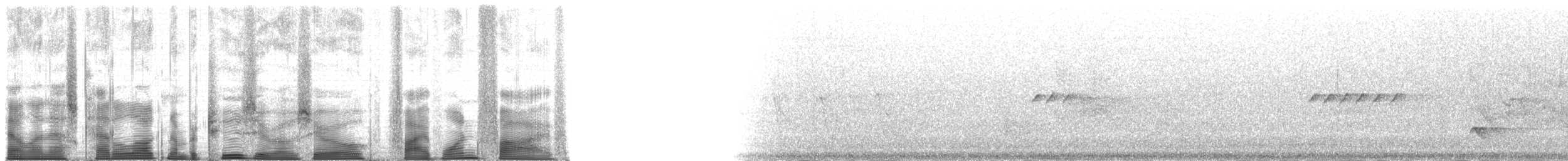 brunrygghonningeter - ML200515