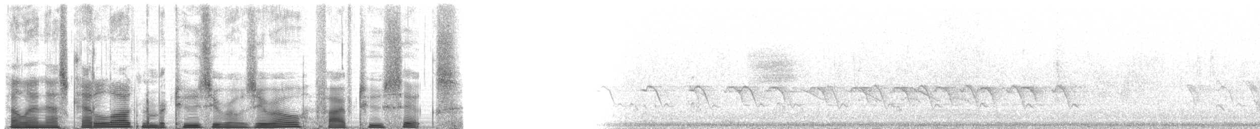 Mistletoebird - ML200526