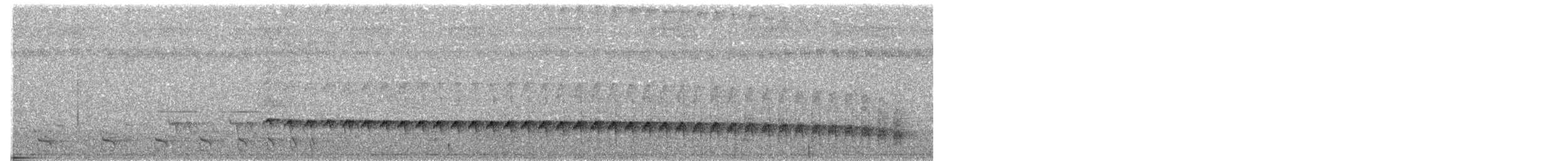 Weißstirn-Ameisenschnäpper - ML200526231