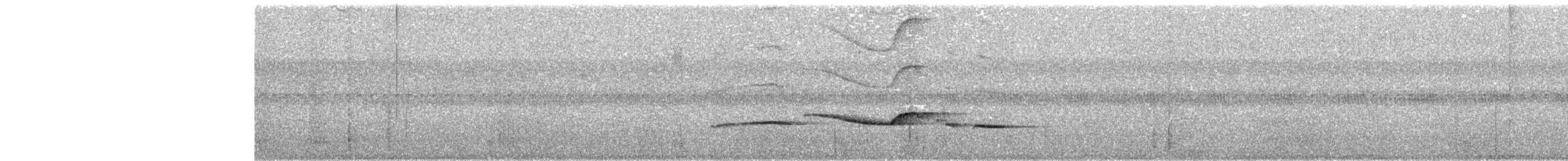 サンロクツグミマイコドリ - ML200530891