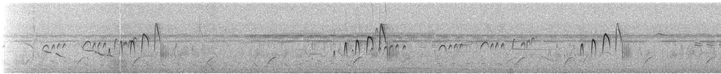 Streifenkinn-Grastyrann - ML200565531