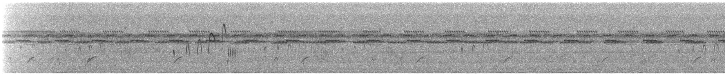 Streifenkinn-Grastyrann - ML200565701