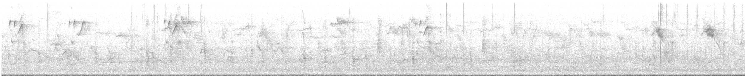 Star - ML200571161