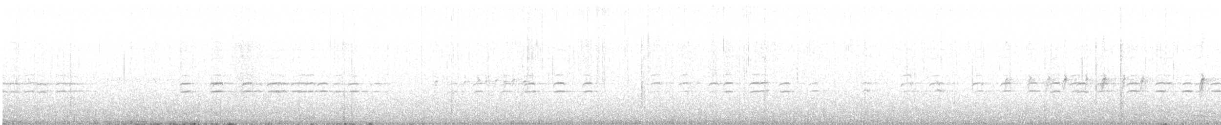 Шишкар білокрилий - ML200625781
