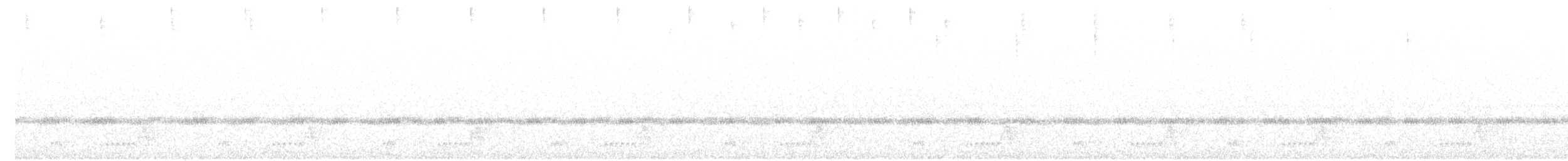 Mexikonachtschwalbe - ML20066431