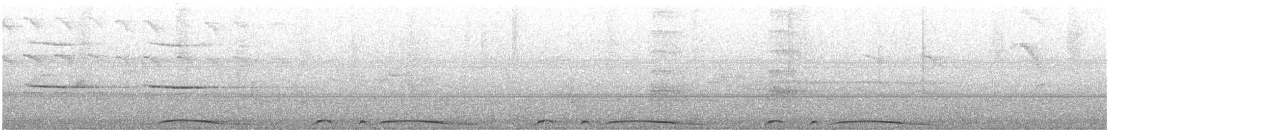 holub neotropický - ML200673911
