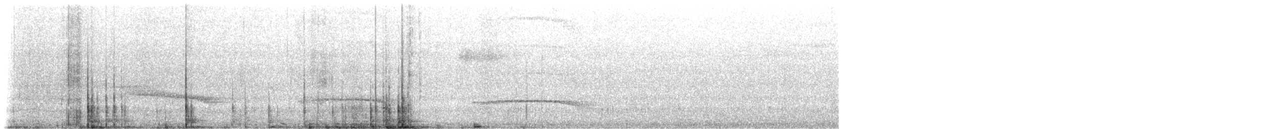 Кокоа плямистий [група aequatorialis] - ML200736361