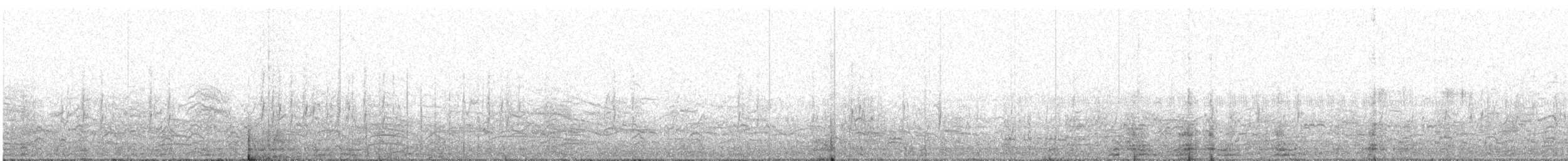 Red Shoveler - ML200739831