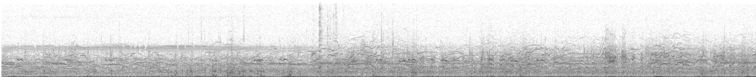 Red Shoveler - ML200739861