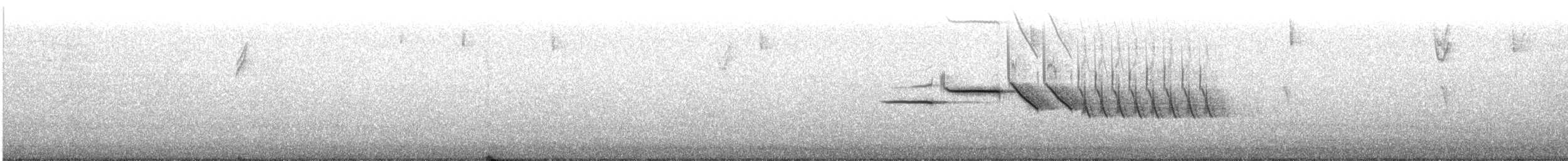 hvitkronespurv (nuttalli) - ML20082681