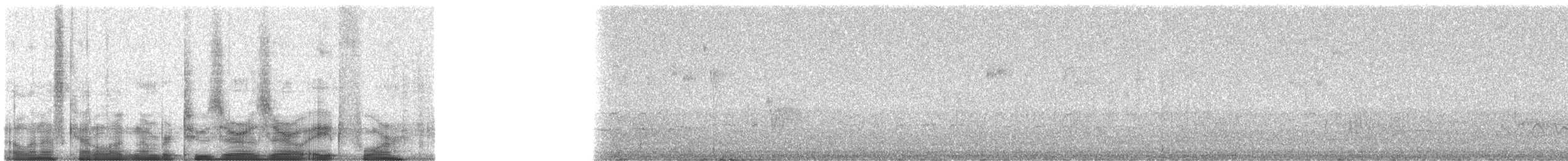 Weißscheitel-Kleintyrann (subcristata/straminea) - ML20084