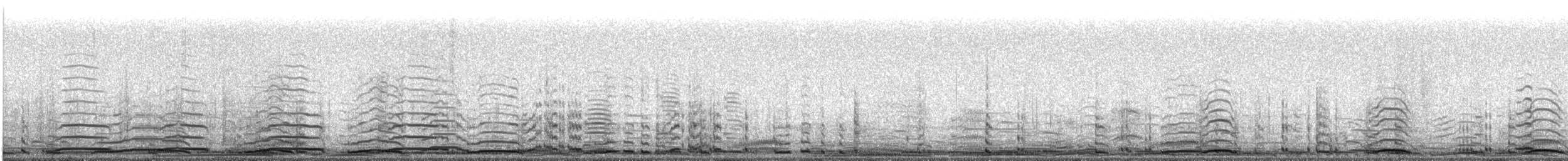 Cygne siffleur (columbianus) - ML20084151