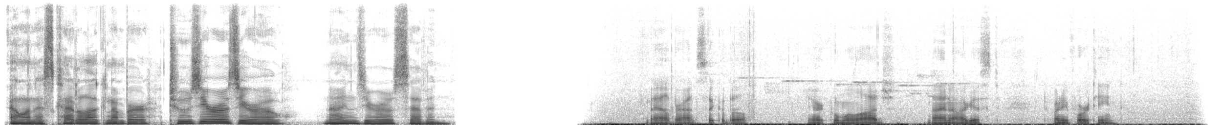 Дивоптах-шилодзьоб бурий - ML200907