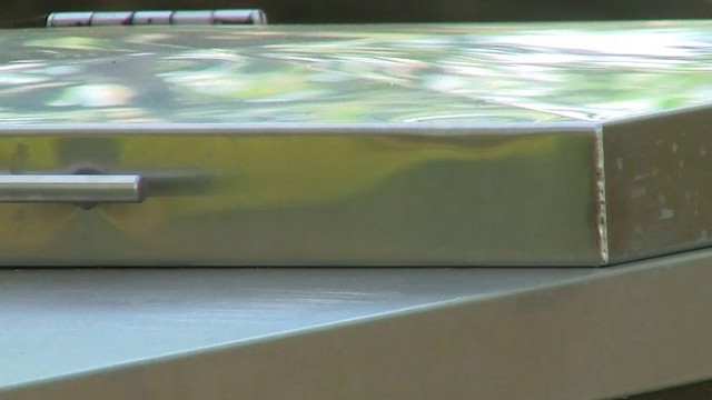 Silver-backed Butcherbird - ML200958201