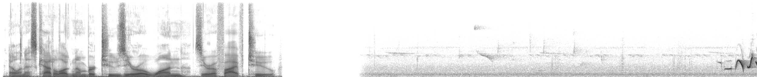 Поплітник смугастощокий - ML201052