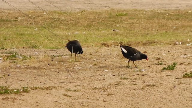 Хажилгат түнжүүр - ML201084791