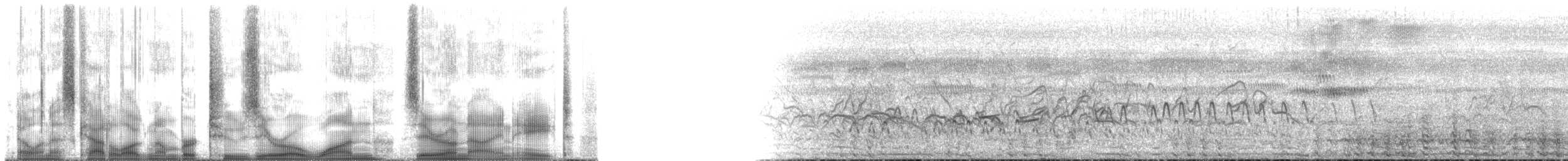 Чачалака рудогуза (підвид ruficauda) - ML201098
