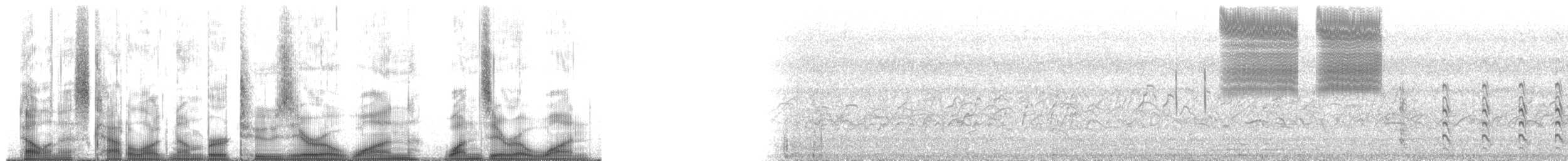 čejka jihoamerická (ssp. cayennensis) - ML201101