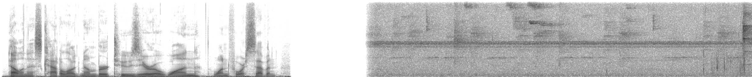 Тиран-інка андійський (підвид superciliaris) - ML201147