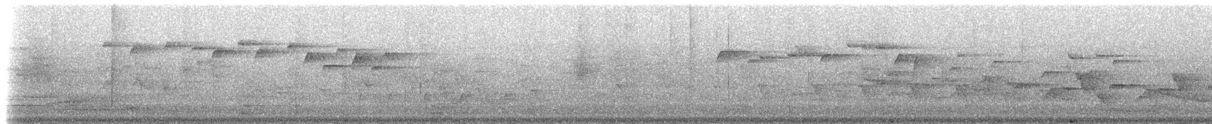 Trompeterparadieskrähe - ML201231