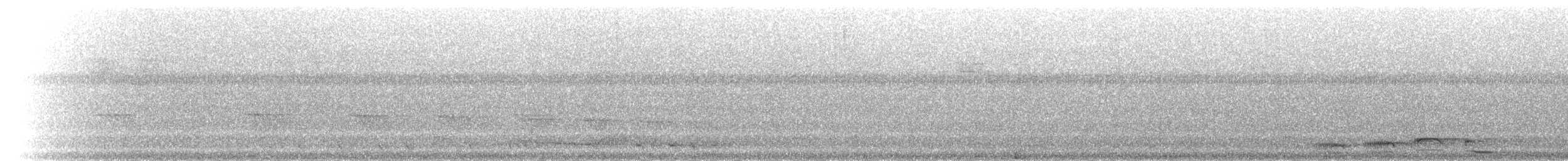 Белолицая дриада - ML201236