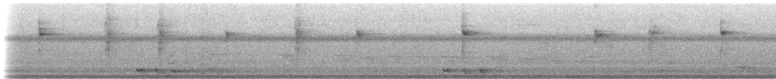 Psittacule double-oeil (groupe diophthalma) - ML201237